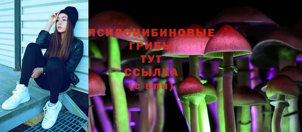 эйфоретик Алексин
