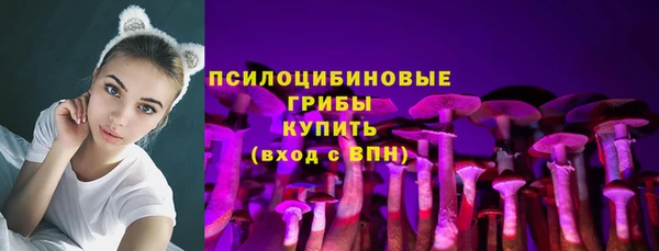 крисы Алексеевка