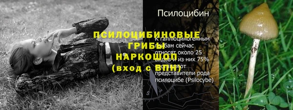 эйфоретик Алексин