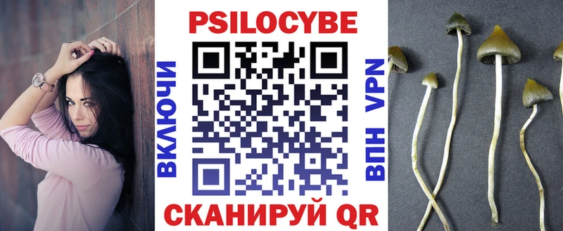 Псилоцибиновые грибы мухоморы Петровск-Забайкальский